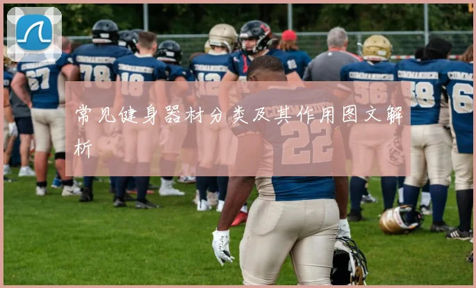 常见健身器材分类及其作用图文解析